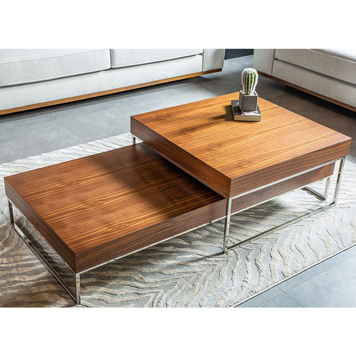 Double Coffee Table Set
