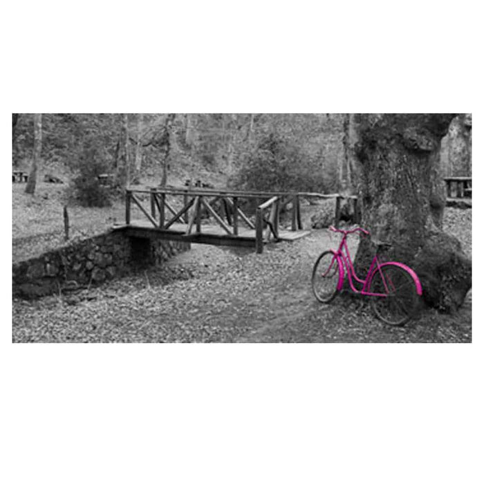 PINK 01 BICYCLE CANVAS PAINTING ART